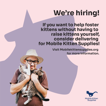 This instagram post mockup has a man carrying two kittens on the
				middle to bottom left part of the image. Both kittens are striped, 
				brown, and white white undersides to them. One of them is pawing 
				at the man's face.
				
				At the top right is the header: We're hiring!
				
				The text below it states: If you want to help foster kittens without having 
				to raise kittens yourself, consider delivering for Mobile Kitten Supplies!
				
				Towards the middle right part of the composition is the phrase: Visit 
				Mobilekittensupplies.org for more information.
				
				On the bottom right part of the image is an all dark blue version of 
				Mobile Kitten Supplies's logo.
				
				Meanwhile, the background color is light pink, with a dark blue, partially faded
				headshot of the company's cat icon.